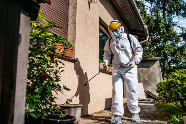 Best Bird Control  in Monroe North, WA